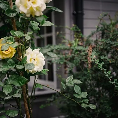 Feriehus Zacisze U Ani *