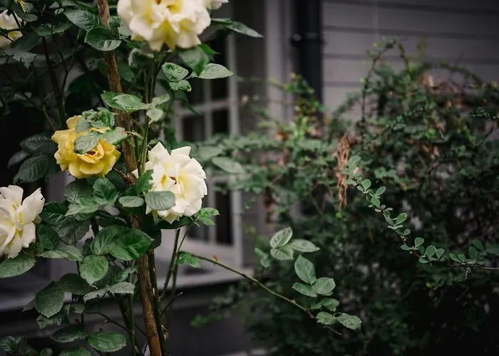 Semesterbostad Zacisze U Ani *